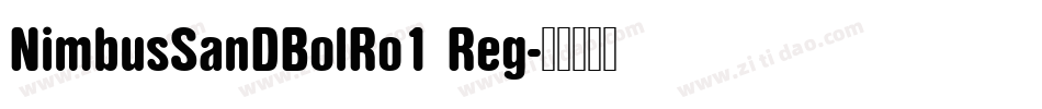 NimbusSanDBolRo1 Reg字体转换